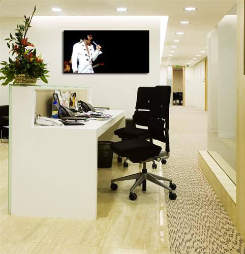 Depiction of Elvis6 on a drawing room wall.