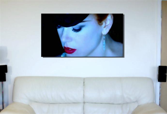 Depiction of Moulin1 on a drawing room wall.