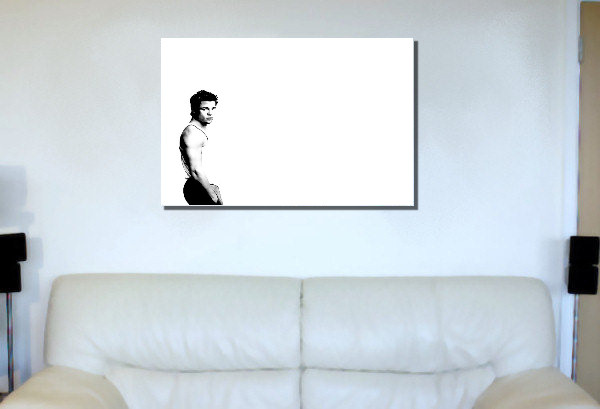 Depiction of brian3 on a drawing room wall.