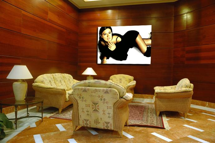 Depiction of belluci4 on a drawing room wall.