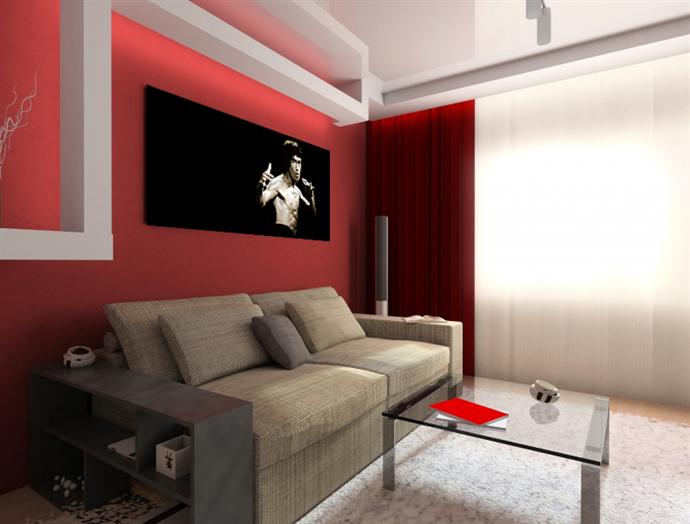 Depiction of bruce_lee1 on a drawing room wall.