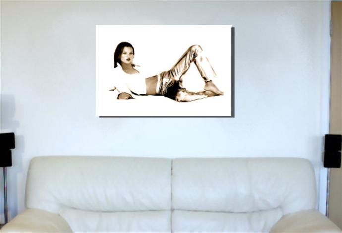 Depiction of kate3 on a drawing room wall.