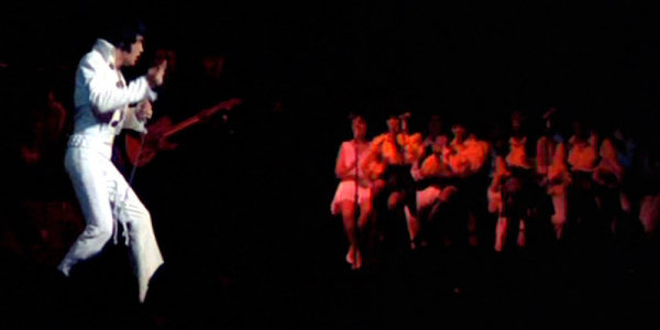 Large Image of Elvis2